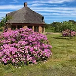 Octagonal Thatched Forest House Near Herning