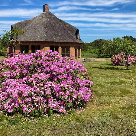 Octagonal Thatched Forest House Near Herning